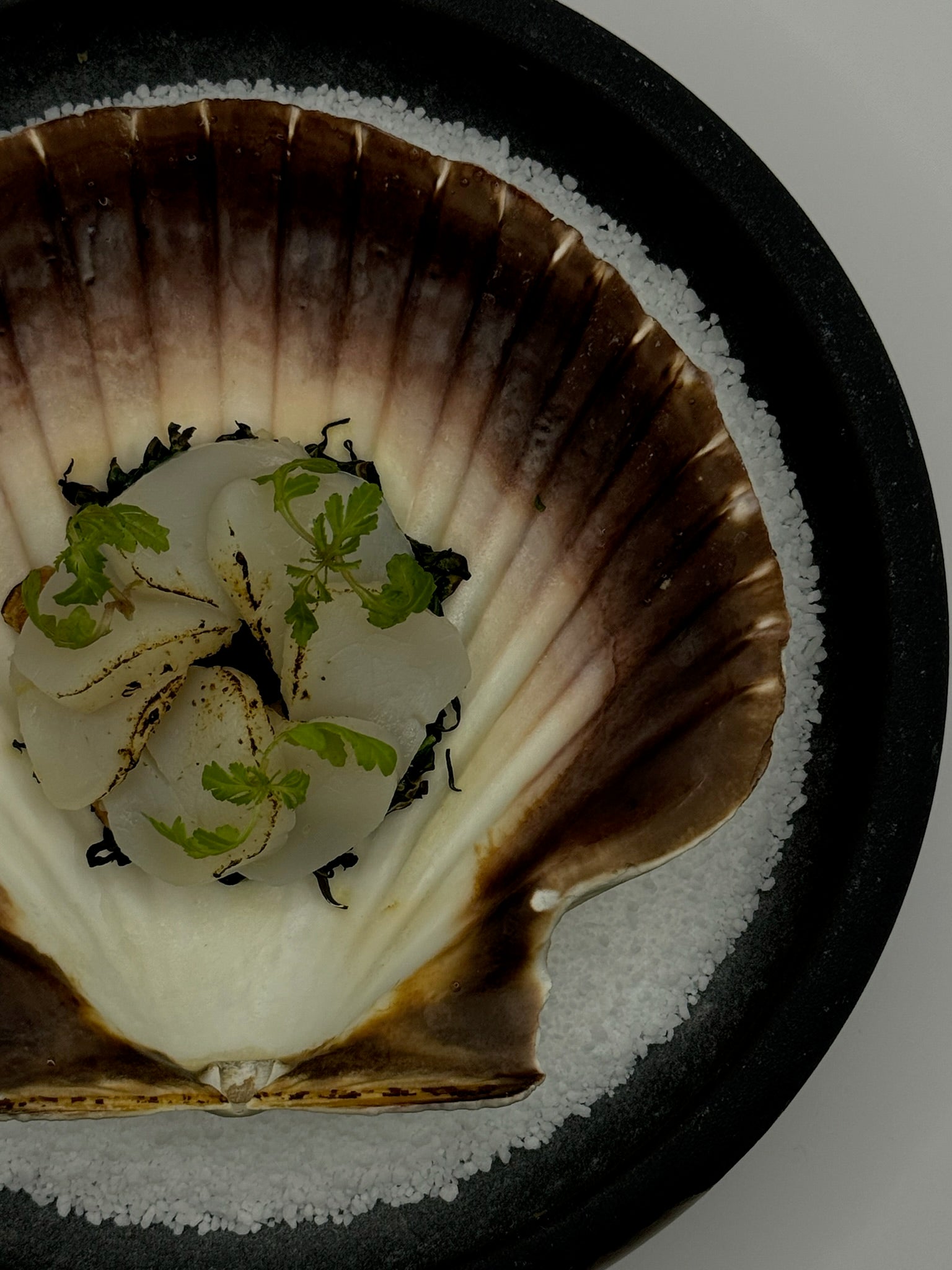 Gourmet & Yoga – Påskeophold på Hotel Søfryd (Early bird)